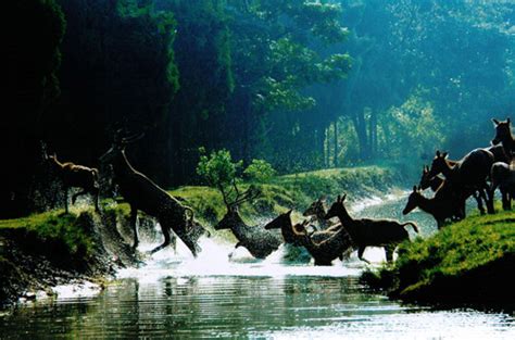 Natural Reserves Of China Through The Viewfinder Iv Cn