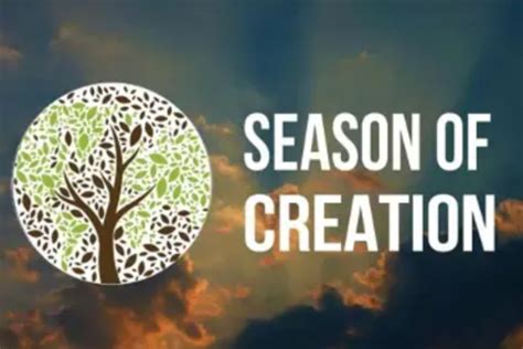 Season Of Creation 2024 Office For Justice Ecology And Peace