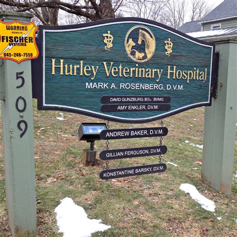 hurley animal hospital 8