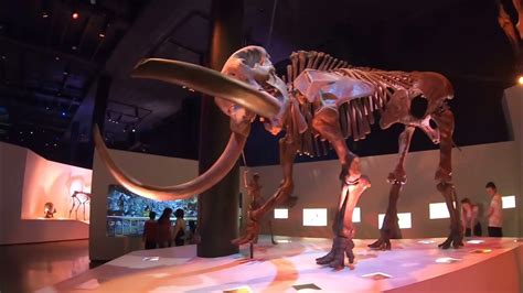 A Day At The Houston Museum Of Natural Science Youtube