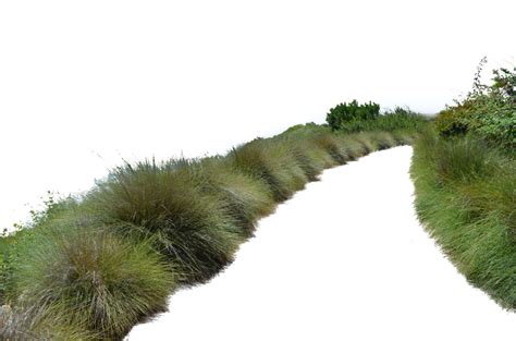 Pathway Png Image Hd Png All