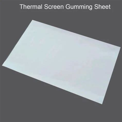 Thermal Screen Gumming Sheet At Rs 650 Pack North West Delhi New