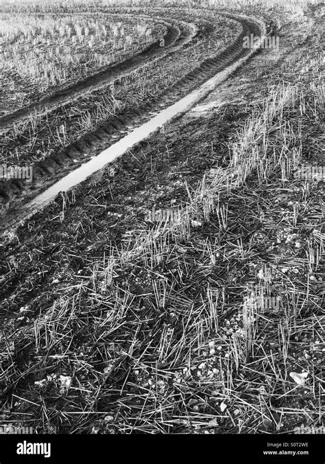 Tractor With Tracks Black And White Stock Photos Images Alamy