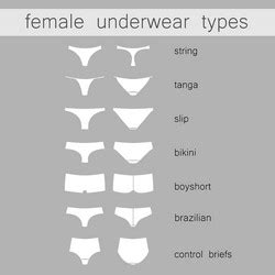 Fashionable Female Lingerie Collection Royalty Free Vector
