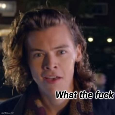 Harry What The Fuck Blank Template Imgflip