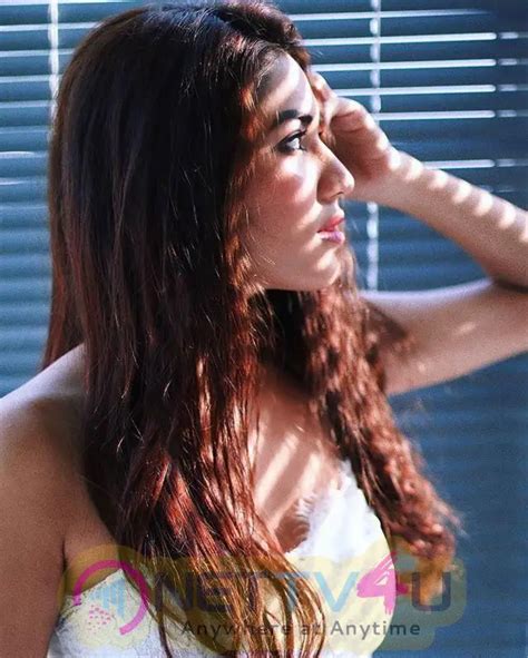 Shivani Singh Hot New Pics 573240 Galleries HD Images