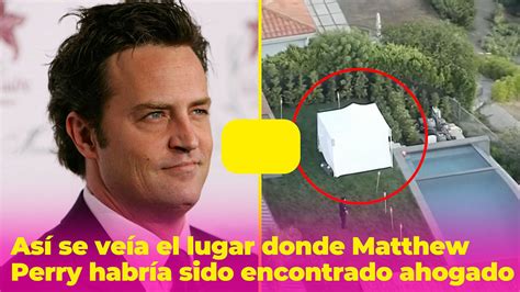 Testamento De Matthew Perry Revela Quiénes Son Sus Herederos Una