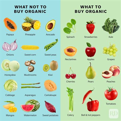 definition of organic food