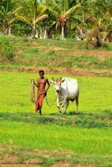 indian village life artofit