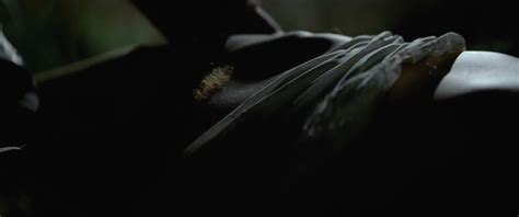 Naked Dóra Sztarenki in Strangled