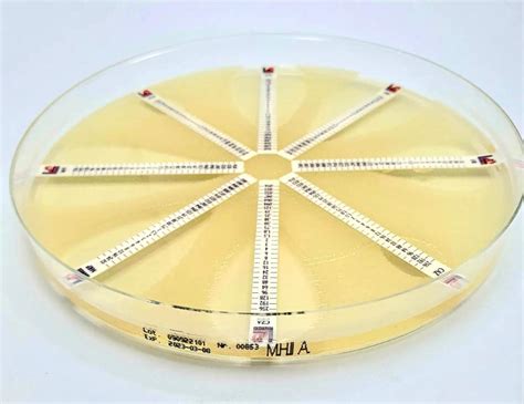 Mueller Hinton II Agar EWC Diagnostics