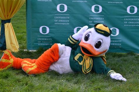 278 best PUDDLES - U of O MASCOT images on Pinterest | Colleges, Oregon ducks football and ...