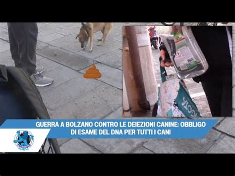 GUERRA A BOLZANO CONTRO LE DEIEZIONI CANINE OBBLIGO DI ESAME DEL DNA