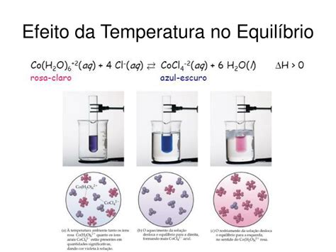 Como A Temperatura Afeta O Equilíbrio Químico - PPT - Equilíbrio Químico PowerPoint Presentation, free download - ID ...