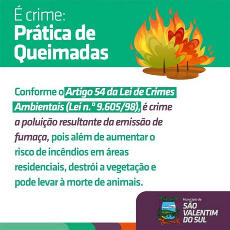 Conforme O Artigo 54 Da Lei De Crimes Ambientais Lei N 9 605 98 A