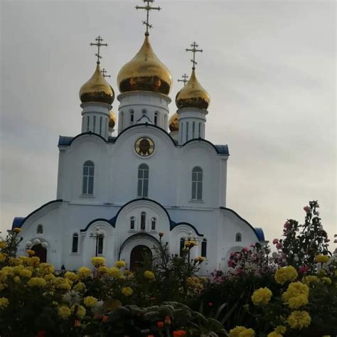 Pin de Татьяна Андриевская em Камчатка.