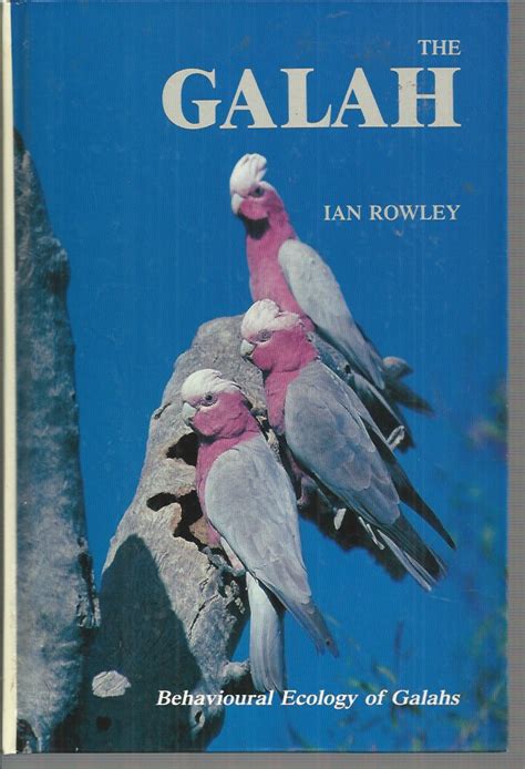 GALAH THE Behavioural Ecology Of Galah Eolophus Roseicapillus In The