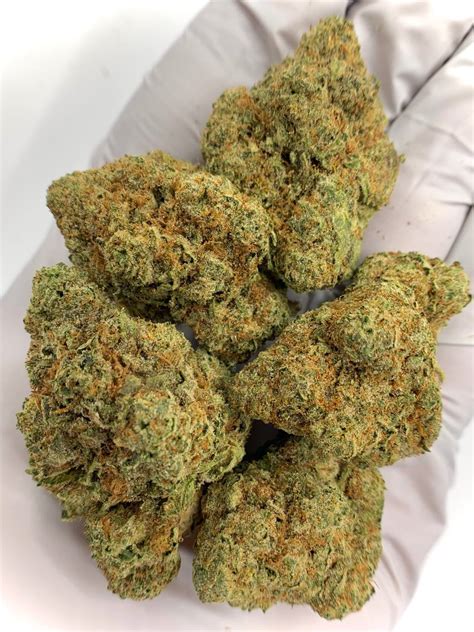 Sex Panther THCa Flower Wholesale Bold Flavor Energizing Effects