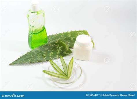 Pieces Of Aloe Vera Leaf Glass Container Plastic And Detergent Bottle