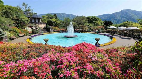 Tourist Attractions and Things To Do in Hakone | Hyatt Regency Hakone ...