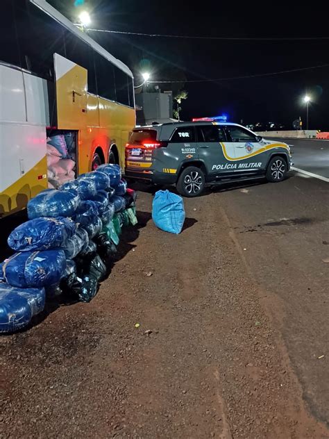 Polícia de SP prende três pessoas mais de 200 kg de folhas de coca