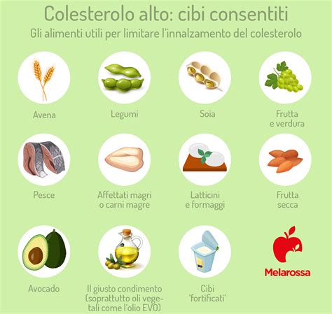 Dieta per colesterolo alto cosa mangiare ed esempio di menù