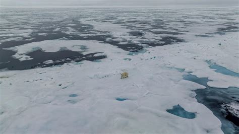 Could the Arctic be ice-free within a decade? What the latest science ...