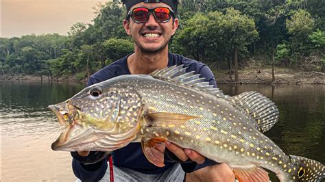 Pescaria De Tucunar A No Rio Juma Pousada Toca Do A Ep