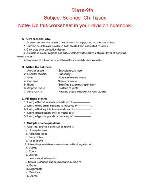 Class 9 Chapter Tissues Worksheet Pdf