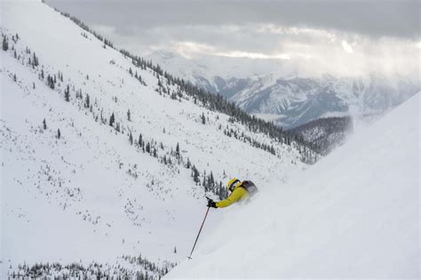 Availability Cat Skiing 2024/2025 - Chatter Creek