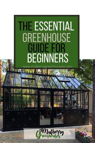 The Essential Greenhouse Guide for Beginners – Mulberry Greenhouses