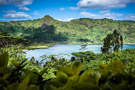 Pure nature – Enno Oldigs – Photography