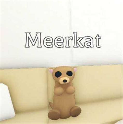 Питомцы Adopt Me Meerkat Ride сурикат райд Festimaru Мониторинг