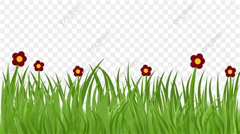 Grass Illustration PNG Transparent, Cartoon Grass Illustration, Cartoon Grass, Plant, Garden PNG ...