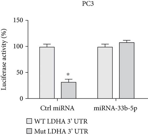 Mir B P Targets Utr Of Ldha In Pca Cells A Prediction Of