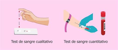 Todo Sobre Tests De Embarazo Blogup Español