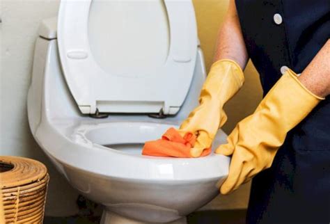 Где должен храниться инвентарь для уборки туалетов - ответ Гигтест