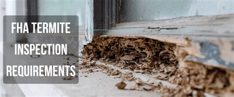 Fha Termite Inspection Requirements