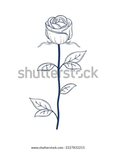 Rose Flower Garden Sketch Style Stock Vector (Royalty Free) 2227832215 ...