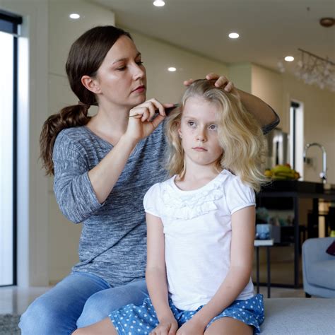 Head Lice Eradication Wyandot County Public Health