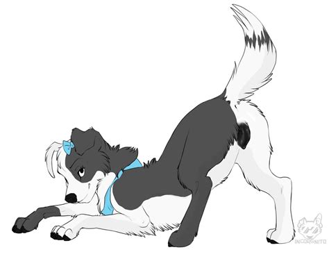 Collie Lee 55 Photos Porn