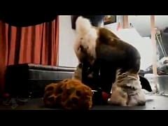 Furry Sex Murrsuit Compilation Moan Part 2 Free Mobile Porn Videos IPornTV