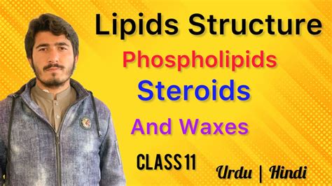 Lipids Structure Types And Functions Of Lipids Parts 2 Youtube