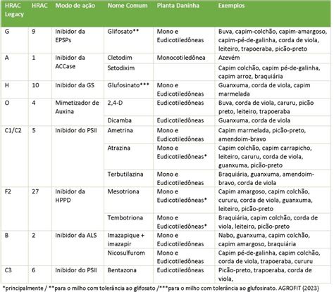 Herbicidas para milho nas 3 épocas de aplicação