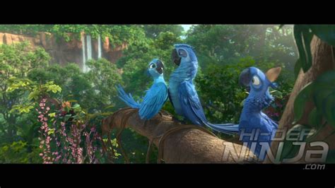 Rio 2 Eduardo