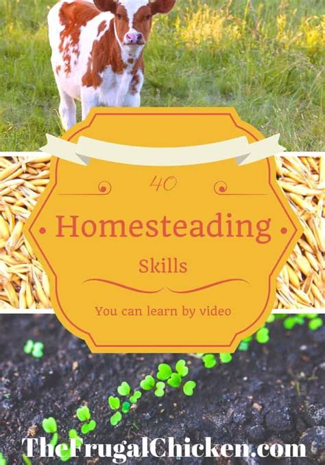 What Is Homesteading What To Know To Get Started Artofit