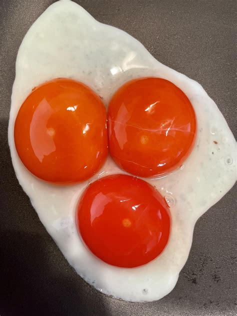 742 Best R Eggs Images On Pholder Why Do My Eggs Look Like This