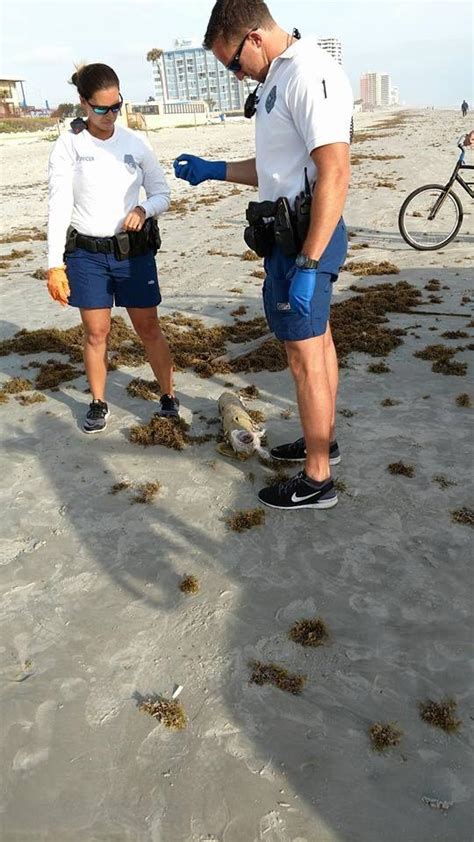 На побережье вынесло гигантский косяк с марихуаной » KorZiK.NeT ...