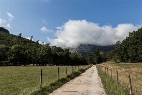 El Patrimonio De Los Caminos Redes Y Conexiones Ondarea Bizkaia