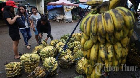 FOTO Stok Pisang Di Pasar Terong Tribun Timur